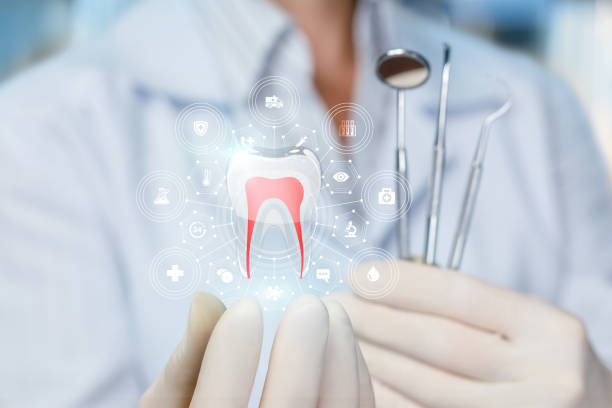 Professional Holistic Dental Care Services in Converse, IN